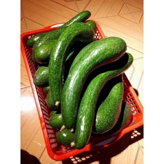 BƠ 034 VƯỜN LÂM ĐỒNG(SIZE 2QUẢ/1KG)