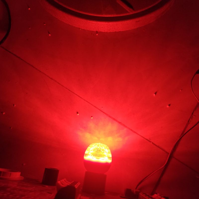 Bóng đèn Led Chanh Màu đỏ tròn 1w đui E27 siêu sáng đèn bàn thờ ông địa thần tài