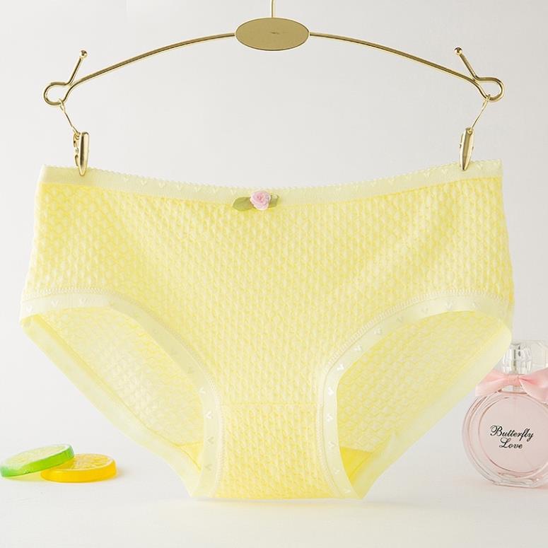 [Giá sỉ] Quần Lót Cotton Thông Hơi Siêu Thoáng 885