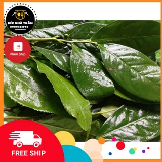 Lá chè xanh tươi Now, grab HCM