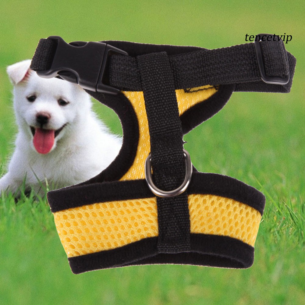 Áo Vest Cao Cấp Cho Thú Cưng