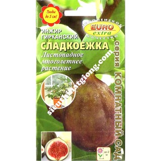 Hạt Giống Sung Mỹ Ngọt (0.01g)