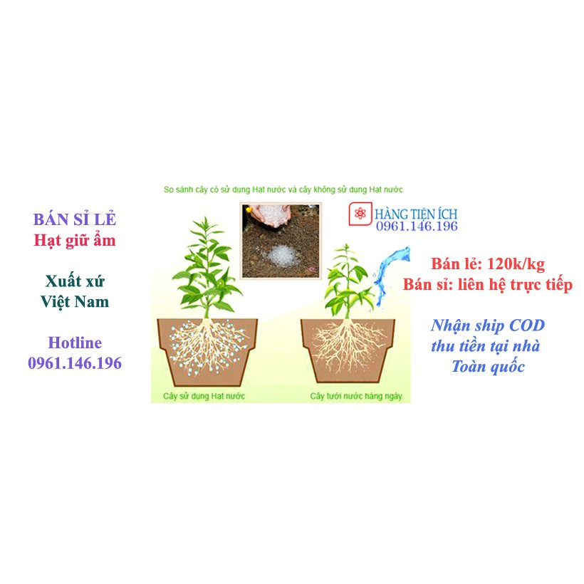 Hạt polyme siêu hấp thụ nước 1KG