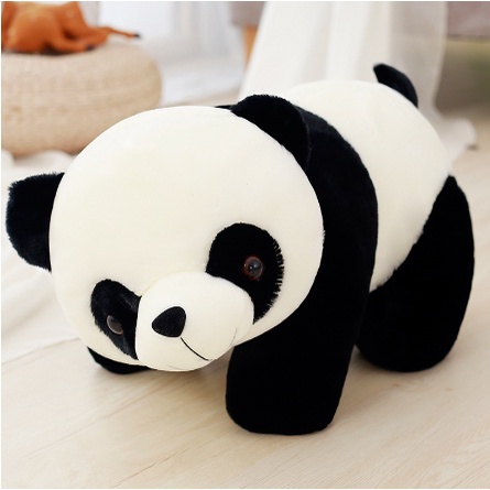 Gấu Trúc bông, lông mềm mịn