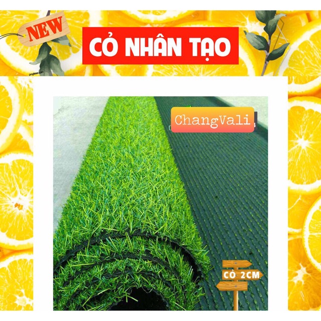 Thảm cỏ nhân tạo khổ 50*50cm - HN