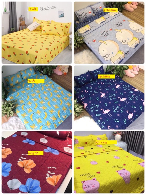 SET GA VÀ 2 VỎ GỐI COTTON POLY 1M8X2M (CHAT CHỌN MẪU) | BigBuy360 - bigbuy360.vn