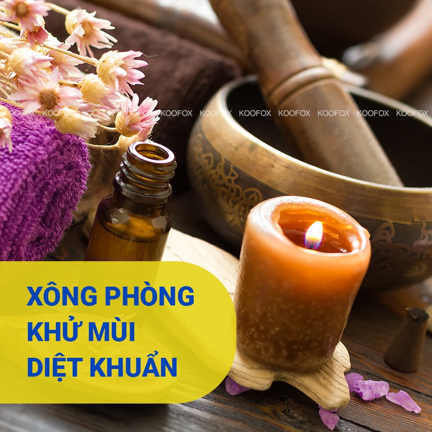 [THIÊN NHIÊN 100] Tinh dầu sả chanh nguyên chất lọ 10ml 20ml 50ml 100ml, xông hương, khử mùi, đuổi muỗi - koofox