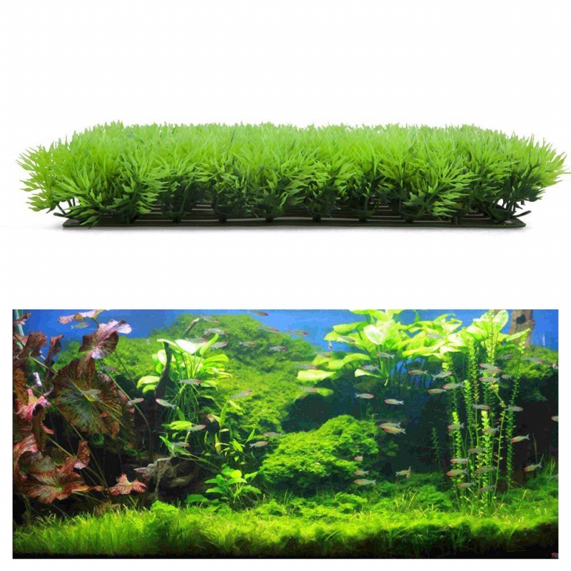 Thảm cỏ nhân tạo trang trí bể cá đẹp mắt