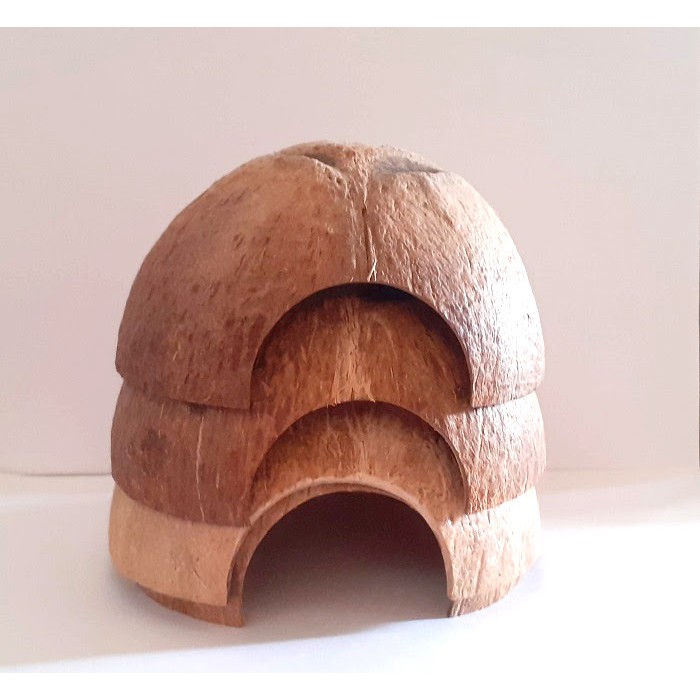 Nhà/hang cá gáo dừa | Cocodecor