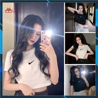 Áo croptop thun cotton thêu ngực ct