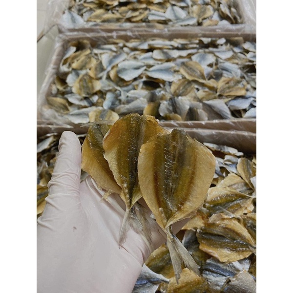 CÁ CHỈ VÀNG LOẠI 1