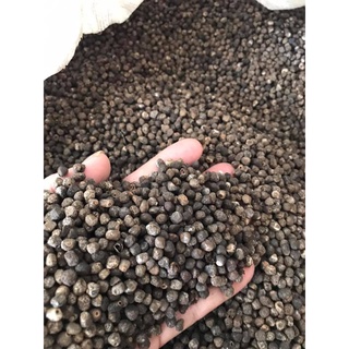 Hạt Chuối Hột Rừng 1kg Dược Liệu Tây Bắc