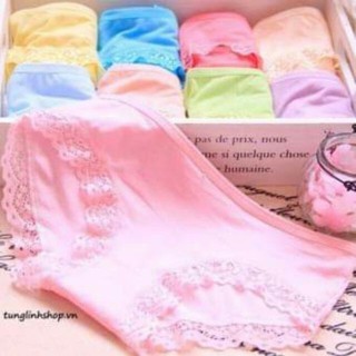 Bán sỉ 10 quần lót cotton Modal