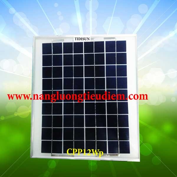 [FREESHIP 99K]_Pin năng lượng mặt trời 12V 12W Poly - CPP12W solar panel Poly