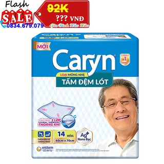 Tấm Đệm Lót Caryn Mỏng Nhẹ 60 x 70 cm - Gói 14 Miếng