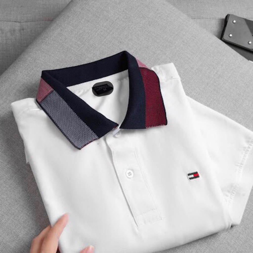 Áo thun polo nam cổ bẻ Tom My Basic cotton xuất xịn, big size 3xl 90kg chuẩn form, sang trọng, thanh lịch