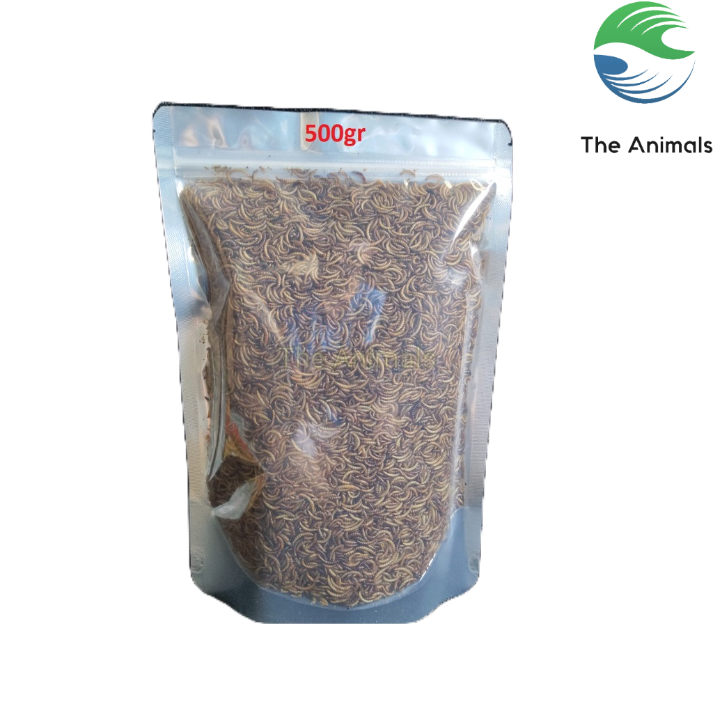 [ 500gr ]  Sâu Rang, Sâu Sấy Cho Bò Sát, Chim Cảnh, Cá Cảnh, Chuột, Sóc, Nhím