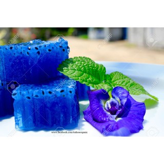 Trà Hoa đậu biếc organic