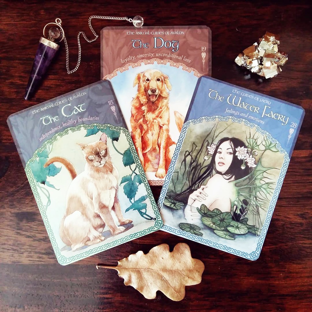 Bộ Bài Wisdom Of Avalon Oracle Cards (Mystic House Tarot Shop)