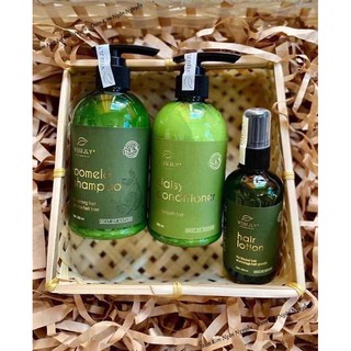 Combo Gội Xả Xịt Bưởi Vijully ( kèm túi)