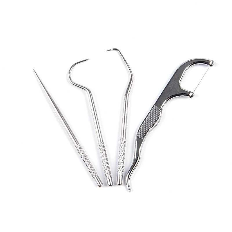 Tăm Xỉa Răng Bằng Thép Không Gỉ Tái Sử Dụng Tiện Lợi