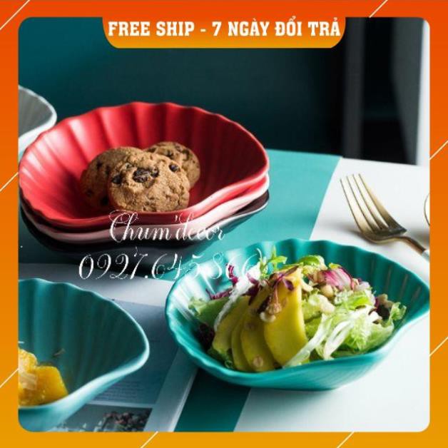 [ freeship - đổi trả lỗi trong 7 ngày ] Đĩa trang trí gốm sứ hình SÒ men lì sang chảnh