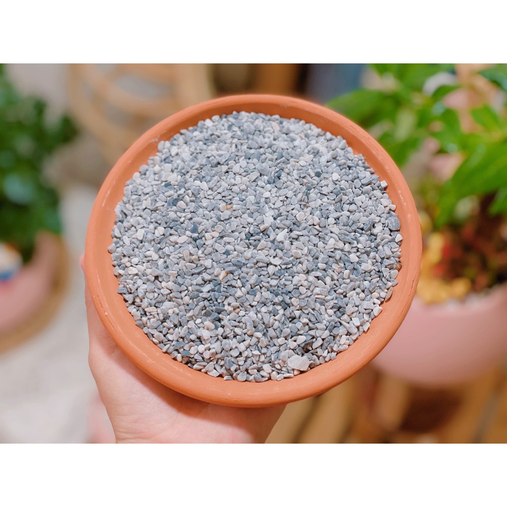 Sỏi trang trí chậu cây, bể cá .