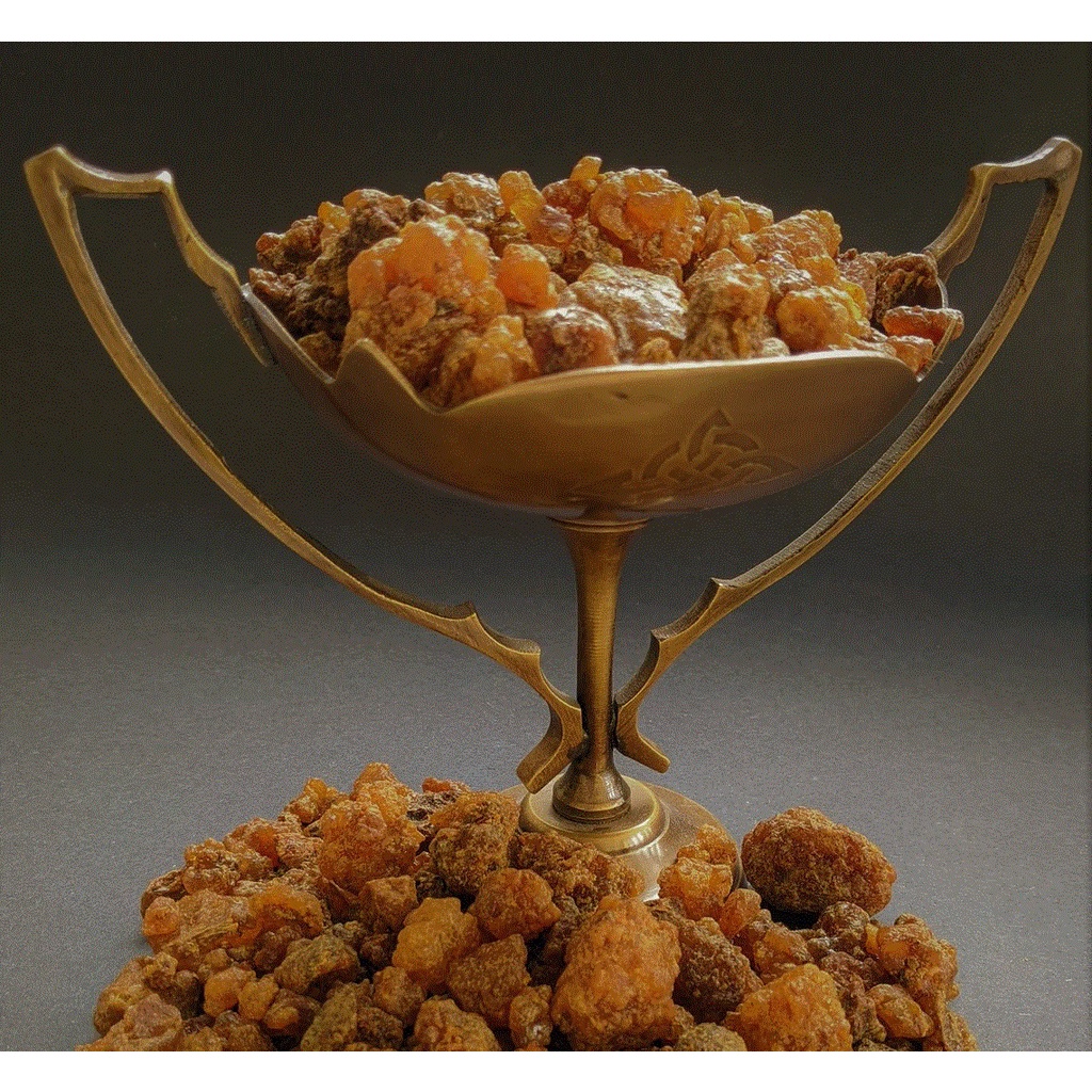 Nhựa thơm  - Myrrh - Frankincense - Palo Santo - Copal - Dragon Blood - Benzoin resin - 20gr