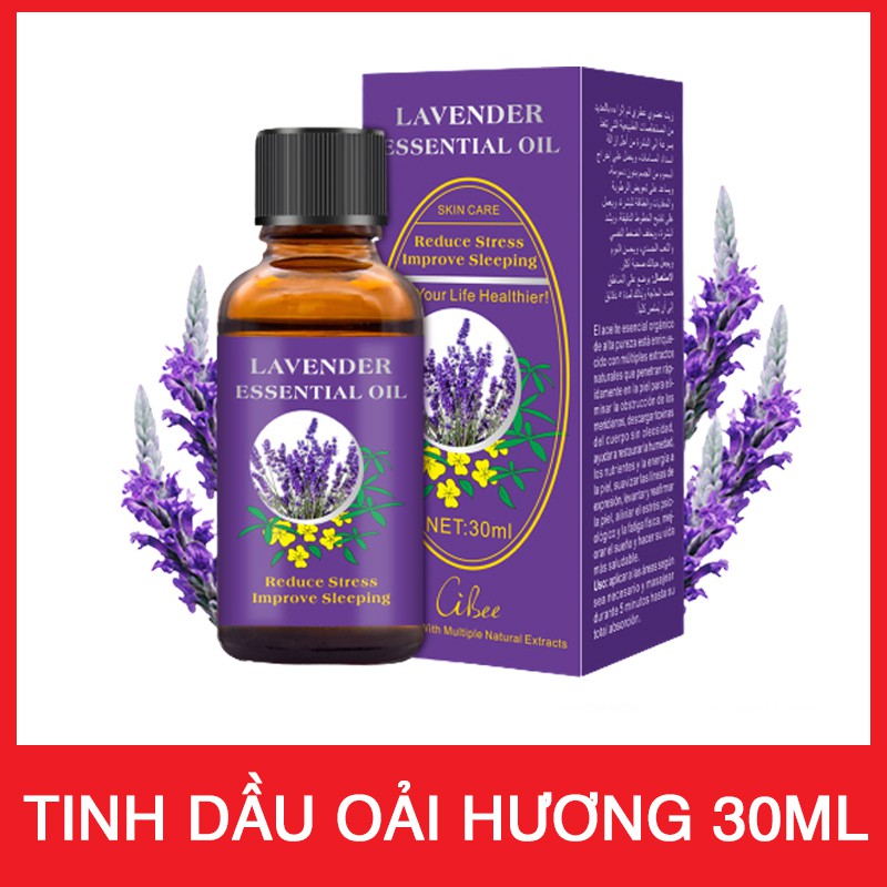Tinh Dầu Oải Hương Lavender Cibee 30ml