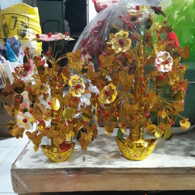 cây cành vàng lá ngọc  58k
