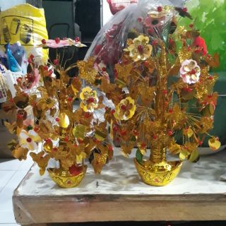 cây cành vàng lá ngọc  58k