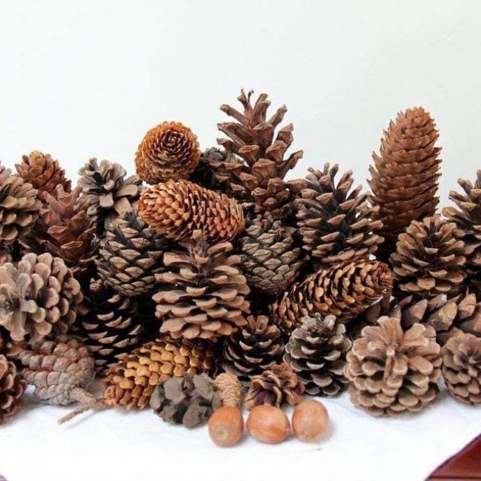 chuyên đồ khô, decor trang trí