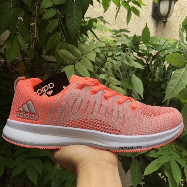 Giày thể thao nữ cao cấp