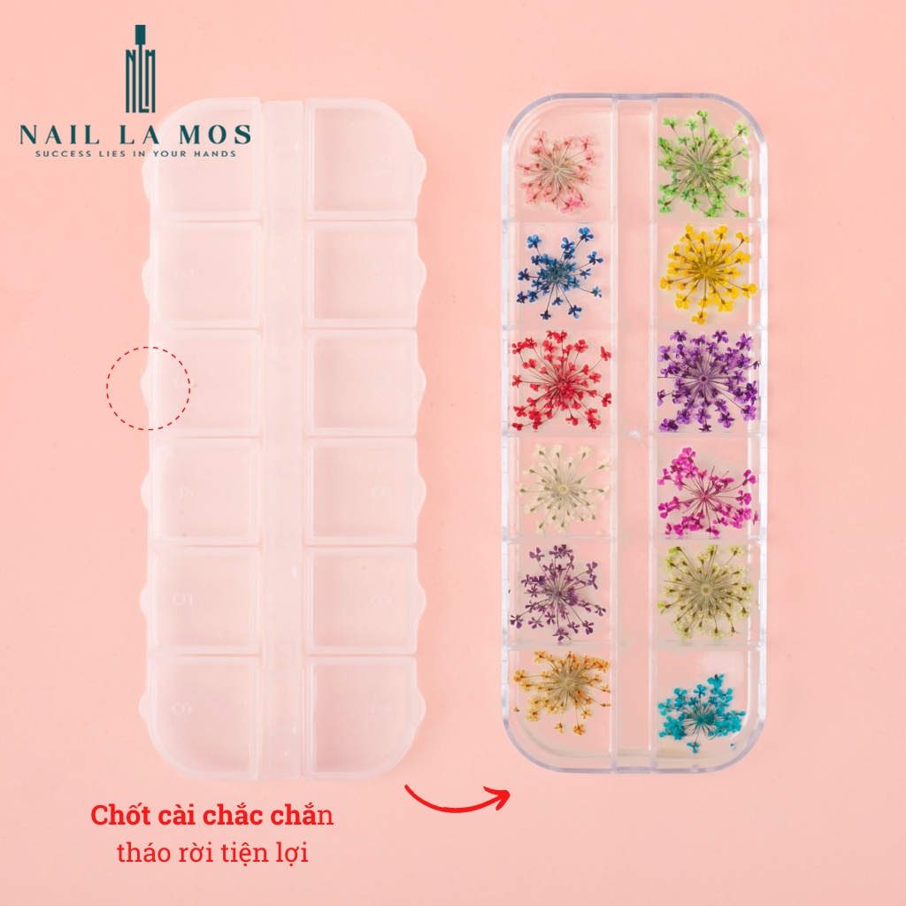 Hoa khô trang trí móng tay - Set 12 màu hoa chùm đắp gel ẩn phong cách Hàn Nhật
