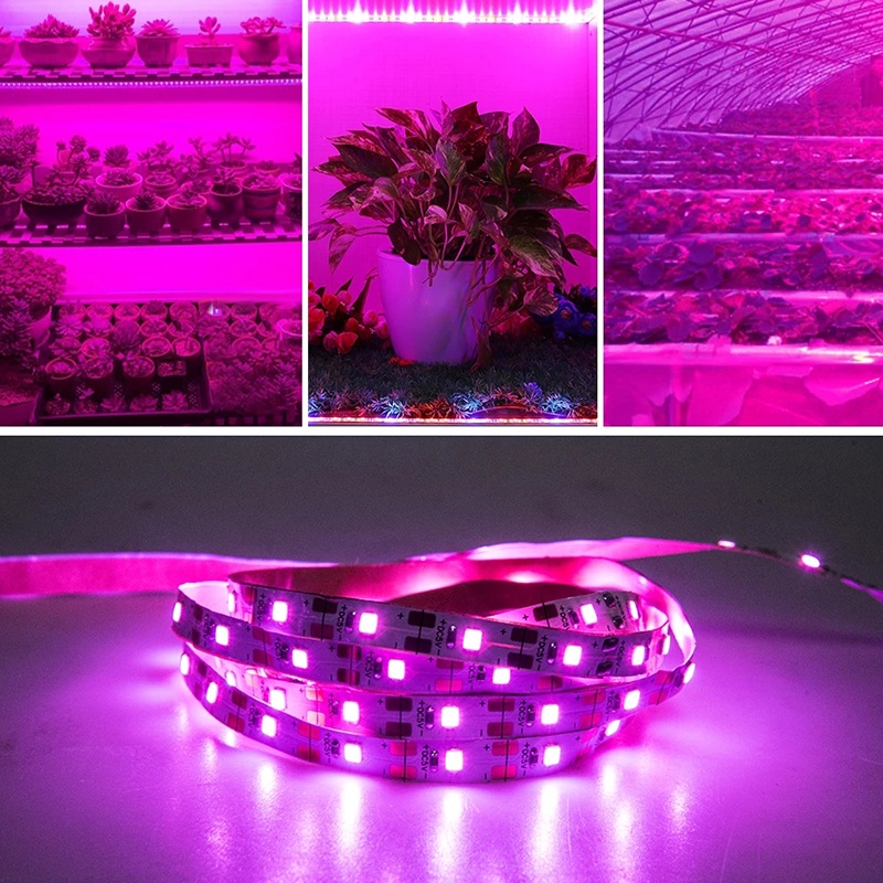 Đèn LED 3 Kích Cỡ Chống Thấm Nước Để Trồng Cây Trong Nhà Tiện Dụng