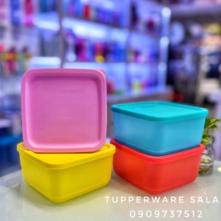 hộp bảo quản thực phẩm small Summer Fresh ( 4 hộp )