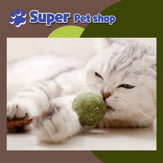 (M175) Cỏ bạc hà catnip dạng kẹo mút cho mèo