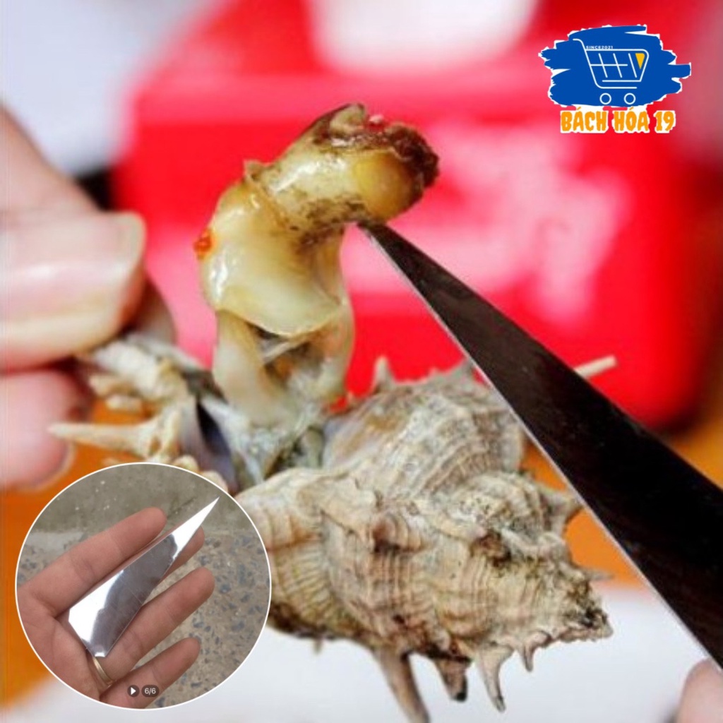 SET10 -50 Xiên nhể ốc que khều ốc- xiên tam giác -xiên bằng tôn siêu sắc bén, dễ sử dụng (loại 1)