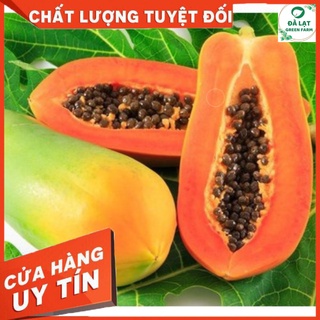 Hạt Giống ĐU ĐỦ RUỘT ĐỎ- 10 HẠT (CHÂT LƯỢNG CHUẨN FARM)