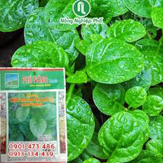 MỒNG TƠI CAO SẢN 20G