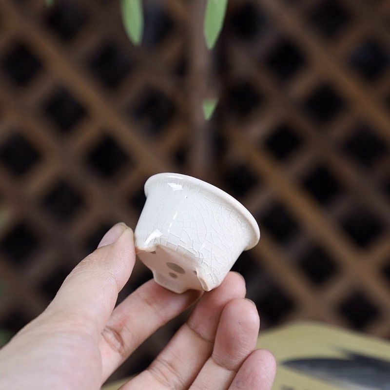 Chậu bonsai-Kích thước: cao: 2.8cm-lọt lòng 3.6cm-phủ bì: 4.6cm—lọt lòng chiều sâu: 2cm.