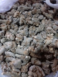 TAM THẤT BẮC Loại 7-8 củ (100g)