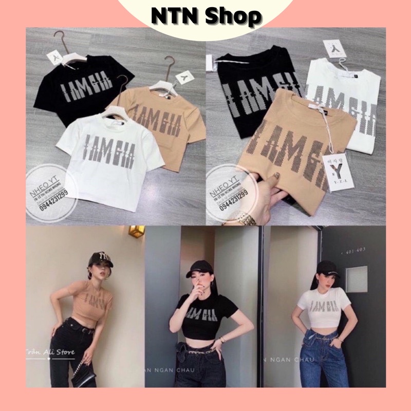 Áo Croptop in 4 màu hàng thun xịn (ap)