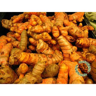 Củ nghệ vàng - 500gr