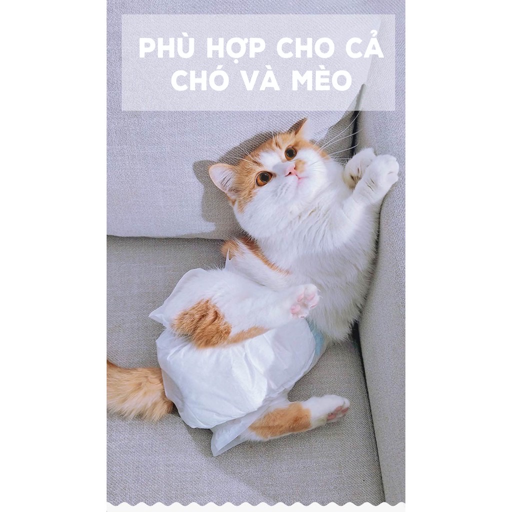 TÃ QUẦN CHO CHÓ - MÈO (KỲ SALO, VỆ SINH KHÓ KIỂM SOÁT) - HILL PETSHOP