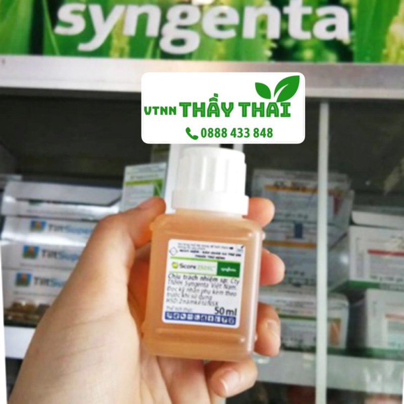 Score 250E Đặc trị nấm bệnh, thán thư, đốm vòng, sương mai cho rau màu và cây ăn trái