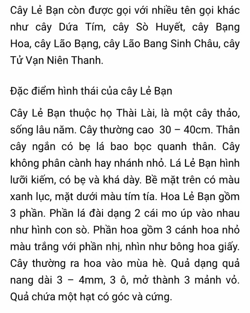 Cây lẻ bạn ( sò huyết, dứa tím 1 cây)