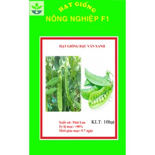 Gói 10 hạt giống đậu ván xanh