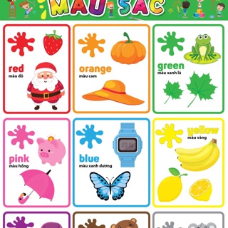 Decal - Màu Sắc