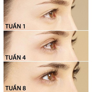 Thuốc Dài Mi Ấn Độ